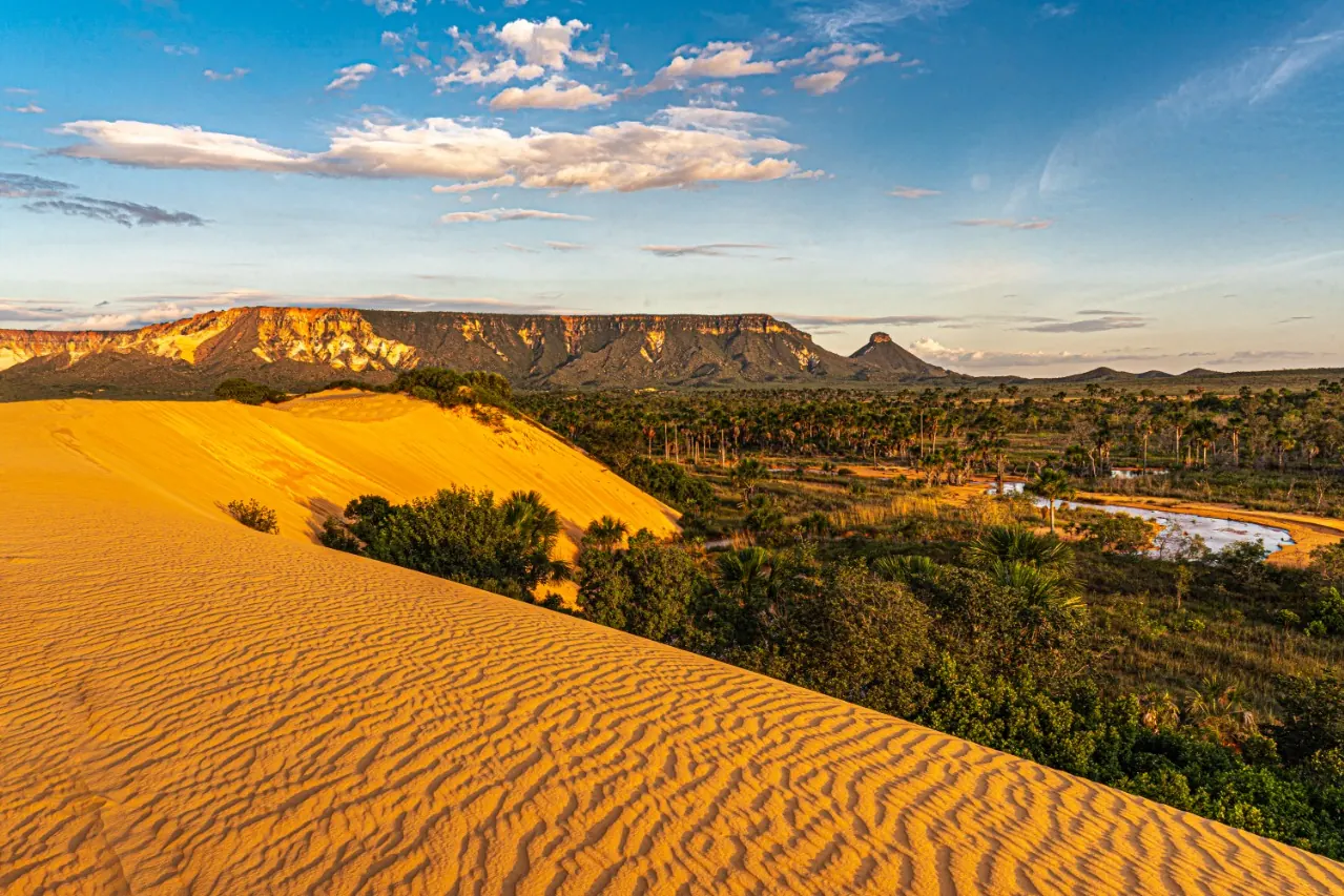 Dunas douradas do Jalapão com a serra ao fundo